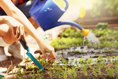 Professional lawn mowing service in Fulham garden