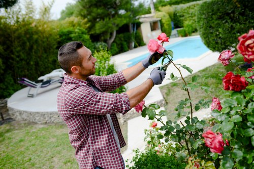 Local lawn care service for Fulham residential gardens