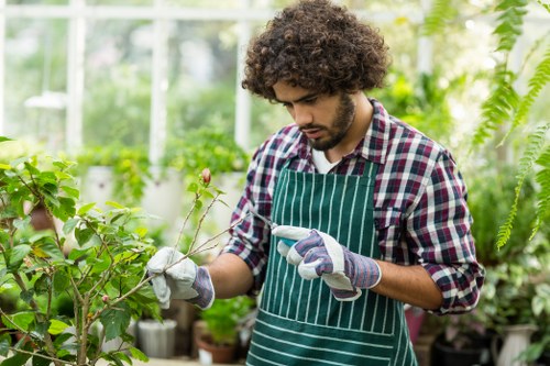 A young man with curly dark hair is working in a well-lit greenhouse, surrounded by various green plants and shrubs. He is wearing a checkered shirt, a green and white striped apron, and gardening gloves while carefully inspecting or pruning a small branch with budding leaves and pink flowers. The greenhouse has transparent glass panels, allowing natural light to illuminate the lush environment, which includes potted plants along the sides and leafy green foliage in the background. The scene captures a professional gardening activity, emphasizing plant care and maintenance within a controlled, indoor outdoor space typical of Fulham gardens, supporting sustainable gardening practices promoted by Landscapers Fulham.