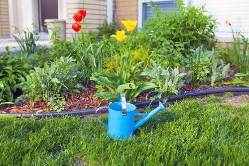 The image depicts a well-maintained garden area with a lush, green lawn in the foreground, featuring densely grown grass that appears healthy and vibrant. Behind the lawn, there is a flower bed bordered with black edging, containing a variety of flowering plants, including red tulips and yellow flowers, along with leafy green shrubs and foliage. The flower bed is set against the background of a residential building, with a light-colored exterior wall and a window partially visible. In the center of the image, a blue watering can with a long spout is placed on the grass, indicating ongoing or recent garden maintenance. The environment is bright and sunny, suggesting good weather conditions suitable for outdoor gardening activities, and the scene reflects a tidy, thoughtfully landscaped outdoor space typical of a residential garden in Fulham, London, managed by landscaping professionals such as Landscapers Fulham. The overall setting demonstrates a neat and attractive garden layout designed for aesthetic appeal and practical gardening care.