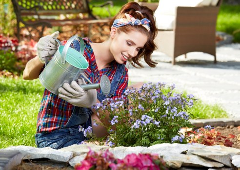 Experienced Fulham lawn mowing professionals