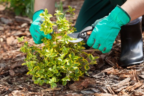 Customer complaint being recorded during a landscaping service review