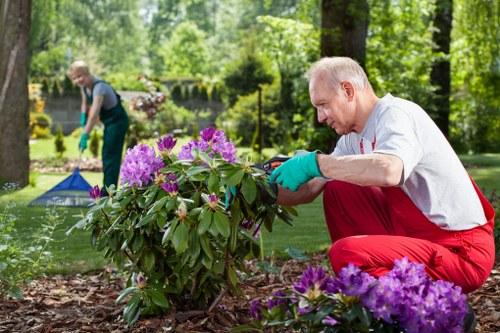 Garden clearance team pricing explanation in Fulham