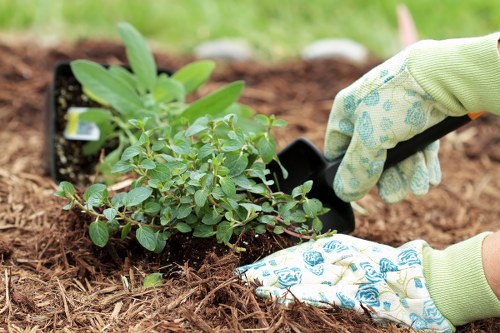 Garden debris being removed by professionals