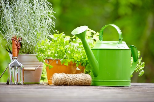The image displays a tidy garden workspace set on a wooden surface, featuring a vibrant green watering can, a pair of metal garden tools with wooden handles, a coiled natural twine, and several potted plants with lush green foliage, including a tall, silvery-leaved herb plant and smaller leafy plants in terracotta and cream-colored pots. The background showcases a blurred view of a garden with dense, green foliage, suggesting a well-maintained outdoor space typical of Fulham gardens. The scene is bright and well-lit, indicating a sunny day, with natural light highlighting the textures of the plants and gardening tools. This arrangement emphasizes outdoor gardening activities, reflecting professional gardening and planting services offered by Landscapers Fulham, integrated within a landscaped garden environment, suitable for both front and back gardens in the Fulham area. The overall composition supports local gardening expertise, focusing on planting, irrigation, and garden maintenance solutions for residential outdoor spaces.