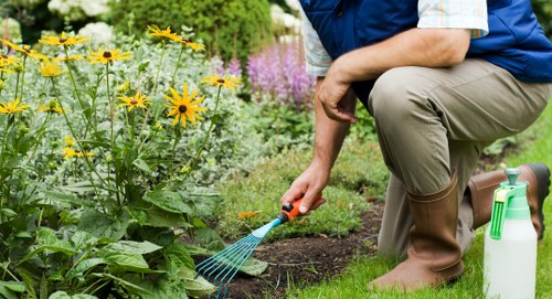Fulham Landscapers team members maintaining a lush garden
