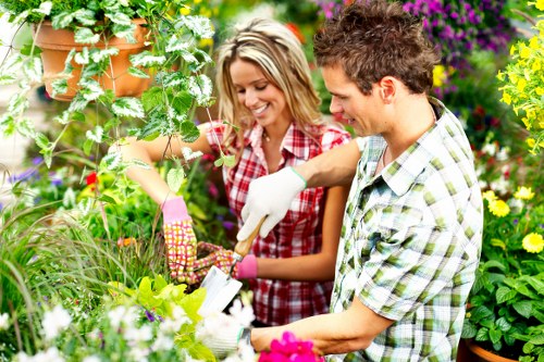Professional hedge trimming services in Fulham