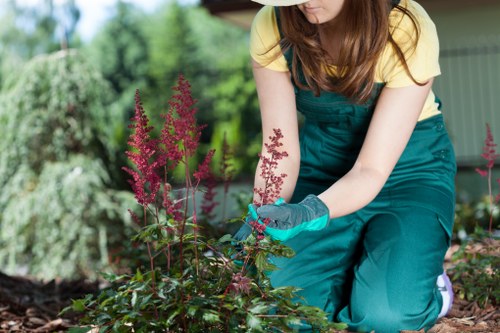 A woman wearing a yellow top, teal garden apron, and gloves is kneeling in a well-maintained backyard garden in Fulham, surrounded by lush greenery, including a large hedge, flowering plants with pinkish-purple flower spikes, and a patch of neatly trimmed grass. She is actively tending to a flower bed, carefully examining or pruning a plant. The garden features layered plantings, with soil borders, and the scene is illuminated by natural daylight, suggesting a clear or partly cloudy day. The background includes a garden shed or structure, and the overall environment showcases a tidy, landscaped outdoor space suitable for gardening services focused on plant care, lawn maintenance, and outdoor aesthetics in Fulham.
