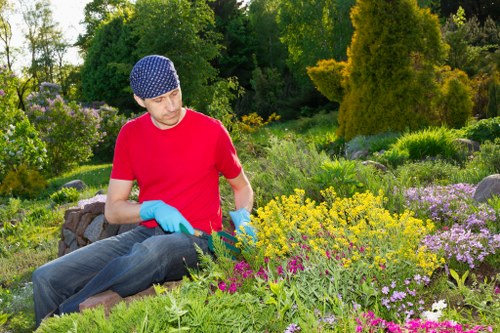 A gardener seated in a landscaped outdoor garden area in Fulham, surrounded by colorful flower beds and lush green shrubs. The gardener, wearing a red T-shirt, a blue polka-dot cap, and light blue gloves, is tending to the flowers with a focused expression. The garden features a combination of vibrant yellow, pink, and purple flowering plants, with well-maintained grass and soil borders. In the background, tall trees and dense foliage create a natural setting, with dappled sunlight illuminating the scene under a clear sky. The plant arrangement showcases a thoughtfully designed layout, blending natural tones with structured garden beds, possibly part of a gardening or landscaping project carried out by Landscapers Fulham. The environment appears tranquil and maintained, emphasizing the quality care typical of professional outdoor gardening services in the Fulham area.