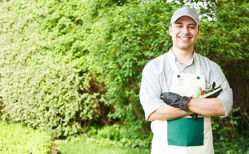 Seasonal garden maintenance by Fulham experts