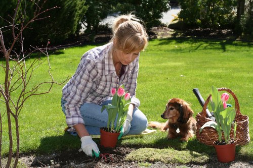 Eco-friendly landscaping practices including native plants and rainwater harvesting