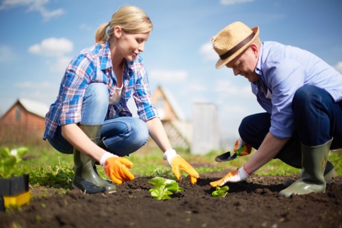 Seasonal garden maintenance in Fulham