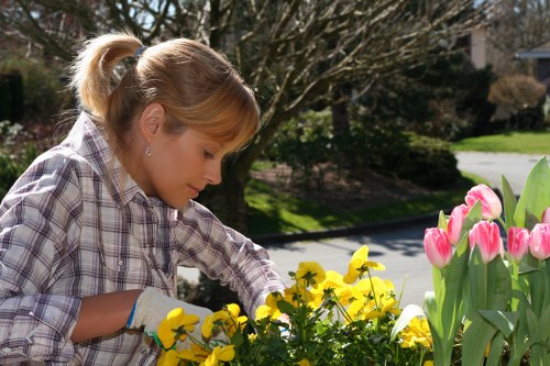Key elements of effective landscaping including plant selection and hardscaping
